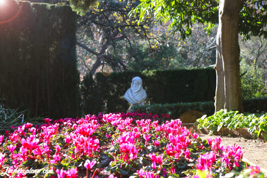 Sunshine and flowers / Barcelona Labyrinth Park of Horta