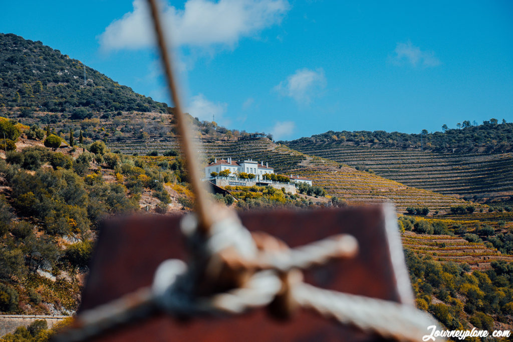 Cruise on Douro River, view of the Douro Valley vineyards