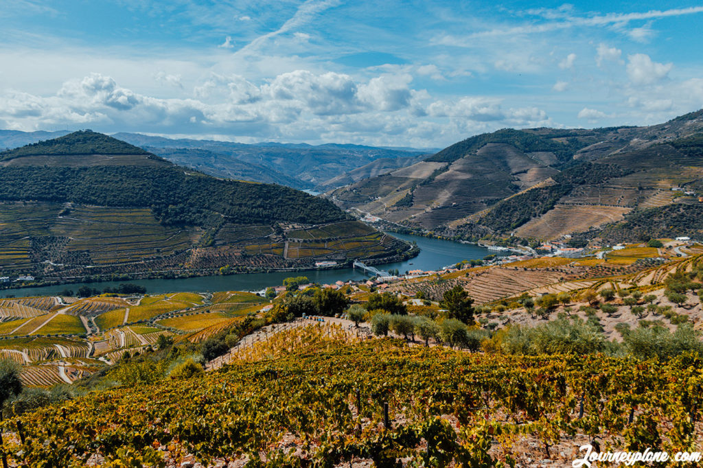 Panoramic view of Douro Valley, from Quinta do Jalloto