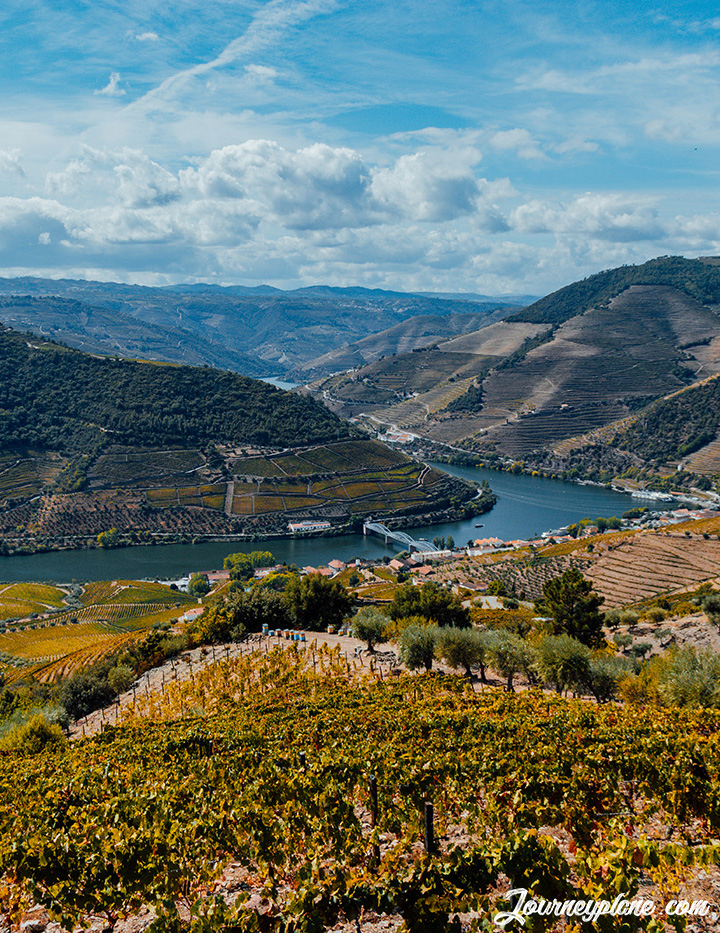 Top 10 Destinations for Nature Lovers in Portugal: Douro Valley